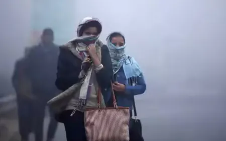 मौसम व‍िभाग का अलर्ट : नए साल पर पड़ेगी हाड़ कंपा देने वाली ठंड