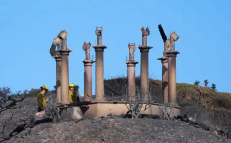 लॉस एंजेलिस में आग के बाद का मंज़र पिघले एटीएम, जले घर