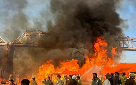 महाकुंभ में एक बार फिर धधकी आग, स्वामी अविमुक्तेश्वरानंद का शिविर जलकर हुआ राख