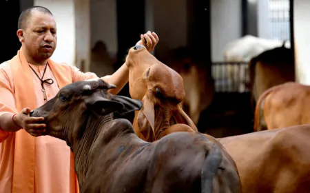 डेयरी पॉलिसी 2022 में बदलाव, और दुग्ध संघों को मजबूत करने जैसे मुद्दों पर चर्चा की संभावना