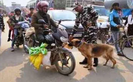 आठ दिवसीय मदार बाबा मेला आज से शुरू,सुरक्षा कड़ी