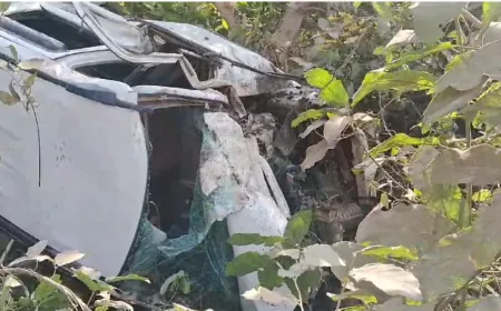 ट्रैक्टर-ट्राली की टक्कर से गहरी खाई में गिरी कार, माँ-बेटे की मौत, दूसरा बेटा घायल