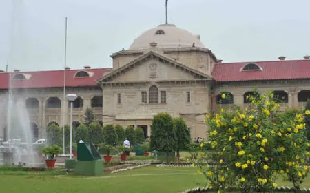 संभल की जामा मस्जिद के रंगाई-पुताई की मांग को लेकर दाखिल की गई याचिका पर इलाहाबाद हाईकोर्ट में सुनवाई हुई।