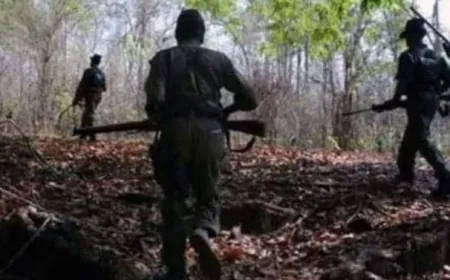 सुकमा जिले में सुरक्षाबलों और नक्सलियों के बीच मुठभेड़, दो नक्सली ढेर !