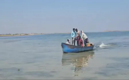 शिवपुरी में नाव पलटने से 6 शव बरामद, एक किशोरी लापता; होली फाग के लिए जा रहे थे सिद्ध बाबा मंदिर