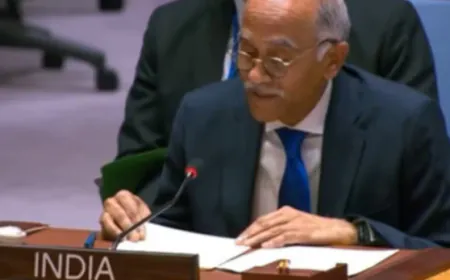 भारत ने यूएन में पाकिस्तान को जमकर लताड़ा, PoK खाली करने की उठाई मांग