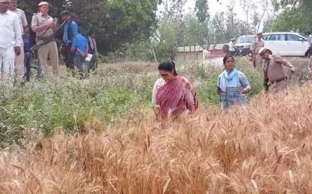 गेहूॅ क्राप कटिंग के लिए ग्राम मोहम्मदनगर पहुंची डीएम
