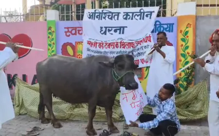 प्रदर्शनकारियों ने भैंस के आगे बीन बजाकर अपनी पीड़ा और गुस्से का किया इजहार
