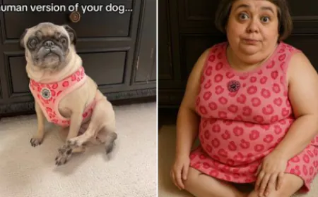 ChatGPT से वायरल हो रहा नया ट्रेंड, अब पेट्स बन रहे इंसान