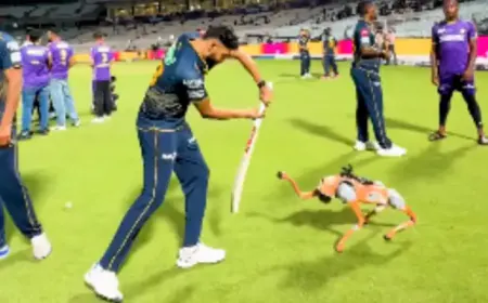IPL 2025: मैदान पर छाया रोबोटिक डॉग 'चंपक', खिलाड़ियों का बना चहेता