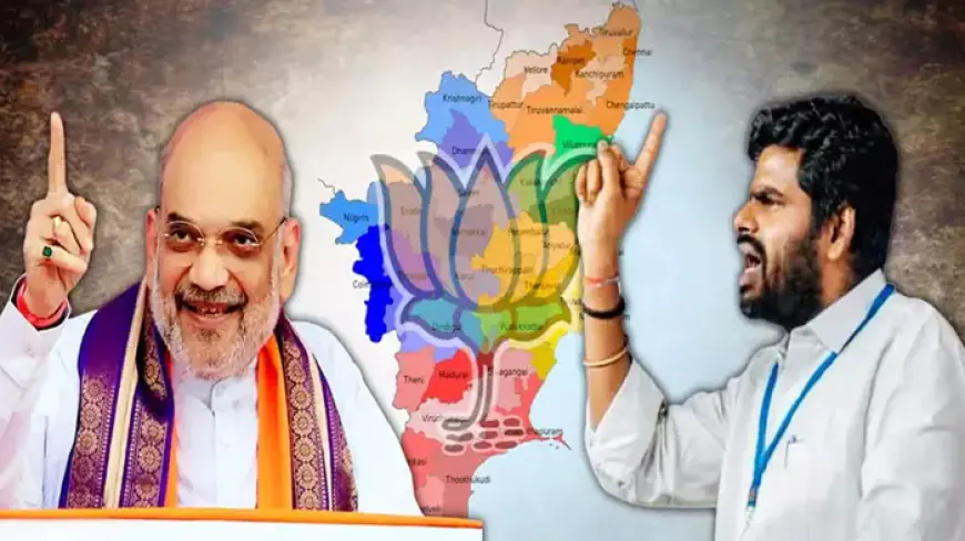 तमिलनाडु में बीजेपी को पहचान दिलाने वाले अन्नामलाई से अमित शाह ने क्यों मांगा इस्तीफा?