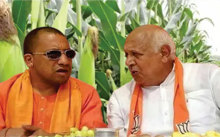 बहुउपयोगी मक्के की खूबियों के कारण ही योगी सरकार खेती को दे रही प्रोत्साहन