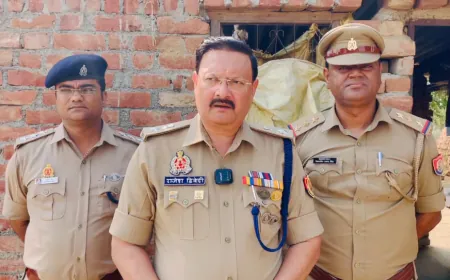 सडक हादसे में 06 की मौत 