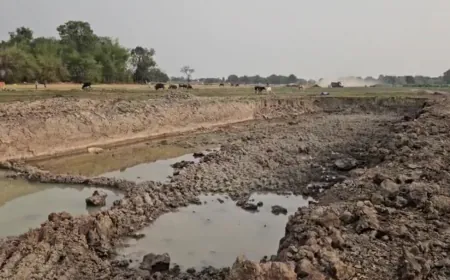 खनन अधिकारी भी नहीं रोक पा रहे अवैध खनन, डीएम से हुई शिकायत