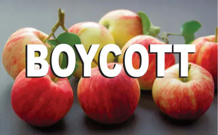 देशभर में 'बॉयकॉट तुर्की' अभियान ने पकड़ा जोर 