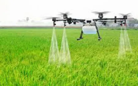 धानुका एग्रीटेक के शानदार तिमाही नतीजे, डिविडेंड का ऐलान