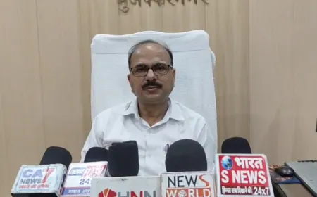 भूमाफियाओं ने रातों-रात सरकारी संपत्ति से हटाया बोर्ड, जिला प्रशासन ने लिया संज्ञान 