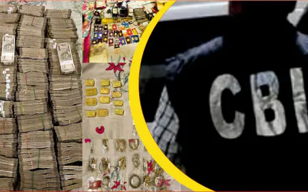 सीबीआई के हत्थे चढ़ा आयकर विभाग का बड़ा अधिकारी, रिश्वतखोरी में बरामद हुआ खजाना