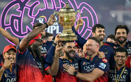 IPL 2025 फाइनल में चमके शशांक सिंह, 6 रन से हार के बाद मैदान पर छलका दर्द