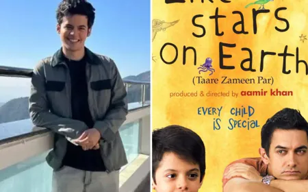 आमिर से काम नहीं मांगता, शरम आती है' – 'सितारे ज़मीन पर' एक्टर दर्शील सफारी का बयान