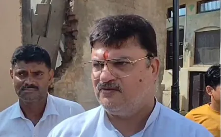 राम की पैड़ी पर करंट से गोवंश की दर्दनाक मौत, बड़ा हादसा टला