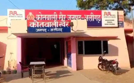 पैसे के विवाद में भाई ने बहन को तमंचे से मारी गोली, हालत गंभीर