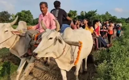बिग बॉस फेम शिवानी कुमारी के गांव पहुंचा अमेरिकी फिटनेस कोच, बैलगाड़ी की सवारी और देसी पकवानों का लिया आनंद