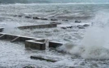 भूकंप और सुनामी से कांपे रूस-जापान: कामचटका में 8.8 तीव्रता के भूकंप के बाद समुद्री तूफान, तटीय इलाकों में भारी तबाही