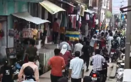 पंचायत के लिए आए बुजुर्ग पर दामाद के भाइयों का हमला, वीडियो वायरल