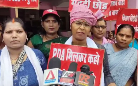 किसानों की समस्याओं व वोट काटने को लेकर सपा महिला मोर्चा ने सौंपा ज्ञापन