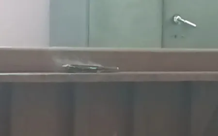 तहसीलदार कोर्ट में रखे मोबाइल में लगी आग, मचा हड़कंप