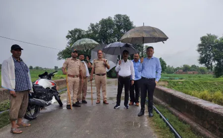 नहर में मिली 6.5 फीट लंबी गैंगटिक डॉल्फिन, वन विभाग ने घाघरा नदी में छोड़ा सुरक्षित 