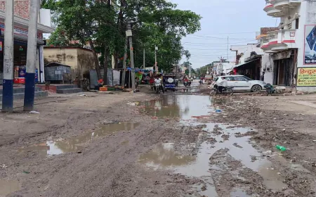 जर्जर सड़क बनी परेशानी, ग्रामीणों ने कराया निर्माण की माँग !