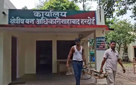 हरदोई में पानी भरी खाई से मिला मगरमच्छ, गांव में मचा हड़कंप