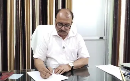 फतेहपुर में अवैध कोयला भट्ठियों और आरा मशीनों पर वन विभाग की बड़ी कार्रवाई, आठ भट्ठियां नष्ट, आरा मशीन सीज