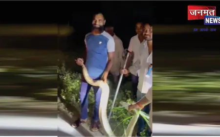 बलरामपुर में सड़क पर निकला विशालकाय अजगर, वन विभाग ने किया सुरक्षित रेस्क्यू