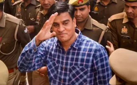 आज़म खान के बाद सपा के पूर्व विधायक इरफान सोलंकी को भी मिली इलाहाबाद हाईकोर्ट से जमानत !