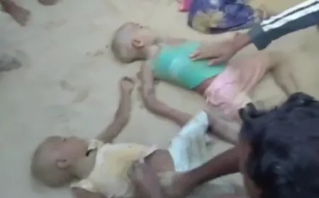 दादी के साथ घास काटने गए दो सगे भाइयों की मिट्टी के टीले के नीचे दबकर दर्दनाक मौत, दादी भी घायल !