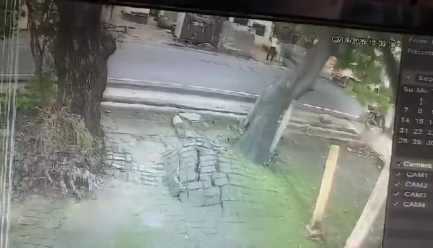 नीम का विशाल वृक्ष गिरने से बाइक सवार युवक की मौत, CCTV में कैद हुआ हादसा