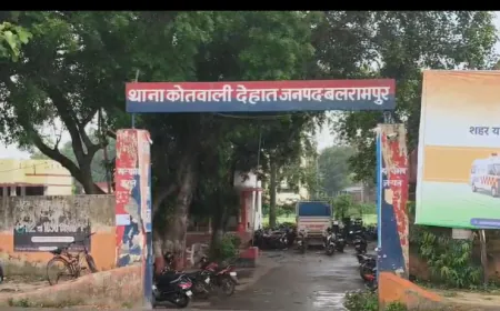 बलरामपुर में भीषण सड़क हादसा  4 की मौत, 2 गंभीर रूप से घायल !