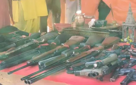 विजयदश्मी पर राजा भैया ने शस्त्रों की पूजा, 200 से ज्यादा दिखा हथियारों का जखीरा !