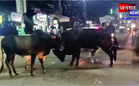 आपस में भिड़े आवारा सांडों के चपेट में आने से होमगार्ड समेत कई लोग घायल