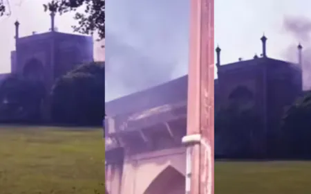 ताजमहल में आग कैसे लगी? गेट के पास धुआं और लपटें देख पर्यटकों में मचा हड़कंप, ASI ने संभाली स्थिति