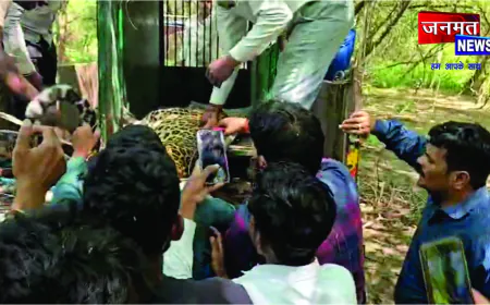 कैंट एरिया में सेना की फेंसिंग में फंसा तेंदुआ, मची अफरा-तफरी