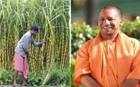 गन्ना किसानों को योगी सरकार का बड़ा उपहार, गन्ना मूल्य ₹30 प्रति कुन्तल बढ़ा !