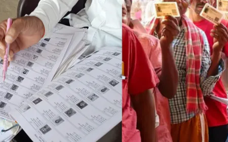 12 राज्यों व केंद्र शासित प्रदेशों में SIR 2.0 शुरू: घर-घर पहुंच रहे BLO, वोटर लिस्ट में सुधार का बड़ा अभियान