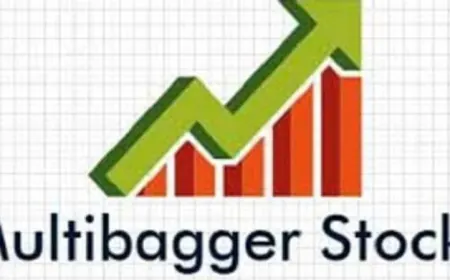 ऐसे चुनें मल्टीबैगर स्टॉक, पैसा हो जाएगा कई गुना; इन 4 रूल्स को फॉलो किया तो होंगे मालामाल