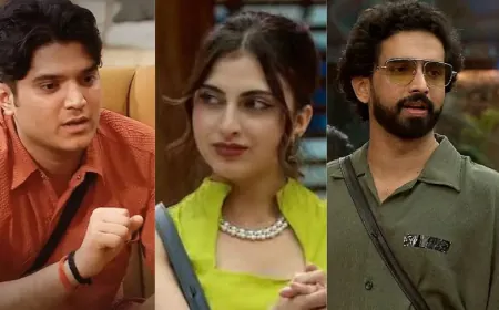 Bigg Boss 19: घर के बाहर आकर मृदुल तिवारी ने फरहाना को बताया 'टॉक्सिक' तो अमाल को 'दोगला'