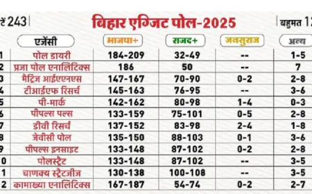 बिहार: कितने सही साबित हुए एग्जिट पोल? इस एजेंसी ने बताया था सबसे सटीक आंकड़ा; पढ़ें पूरी रिपोर्ट