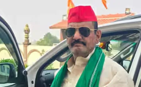 सपा विधायक सुधाकर सिंह का निधन, उपचुनाव में दर्ज की थी शानदार जीत; अखिलेश ने दी श्रद्धांजलि